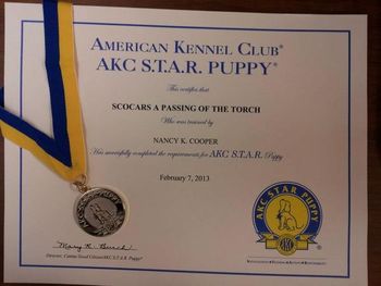 It's official! Stryder is a Puppy Star!! Of course we already knew that...
