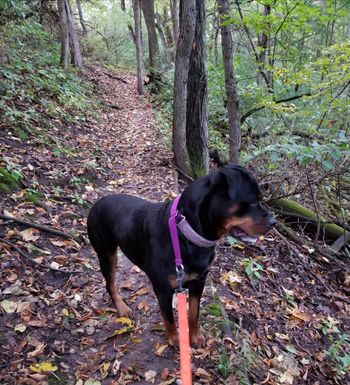 Doing one of her favorite activities, hiking!
