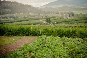 Beautiful panorama views from RV sites
