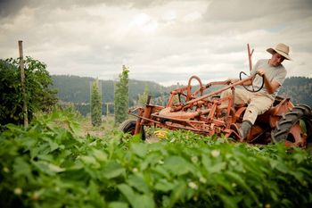 1949 Allis Chalmers tractor.
