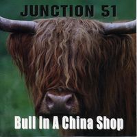 Bull in a China Shop