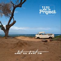 What We Don't See by Wil Project