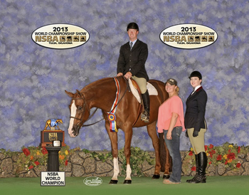 Air Ride Equipped
NSBA World Champion Sr Hunter Under Saddle
