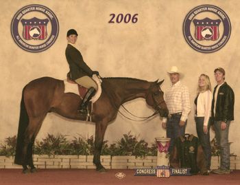 League of Perfection Finalist 3 Year Old Non Pro Finalist Novice Amateur Hunter Under Saddle
