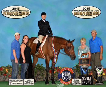 Angry Birds NSBA World Champion Select Hunter Under Saddle
