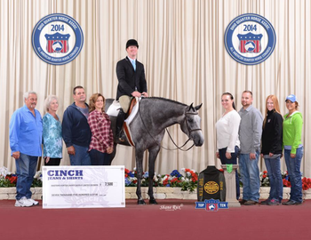 The Perfect One Masters Hunter Under Saddle Limited Champion
