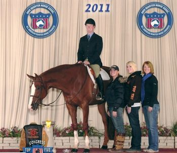 Air Ride Equipped THIRD - Ltd Hunter Under Saddle Maturity
