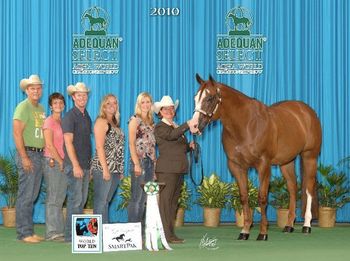 Ima Fancy Sequel SIXTH - Performance Geldings
