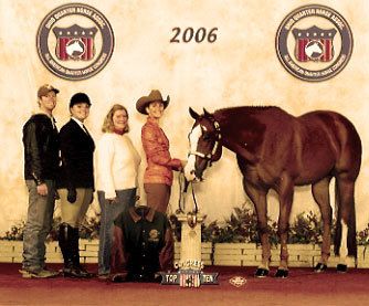 Ima Fancy Sequel 8th Place Novice Amateur Showmanship
