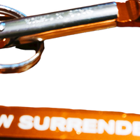 Anberlin "New Surrender" Carabiner Snap Hook Spring