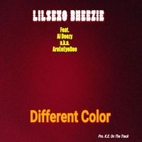 Different Color - Lilsexo Bheezie Feat. Al Deezy Pro. K. E. On The Track by Lilsexo Bheezie