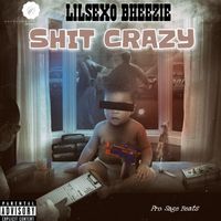 Shit Crazy - Lilsexo Bheezie Pro. Sage Beats by Lilsexo Bheezie