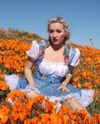 Dorothy Gale/Alice in Wonderland cosplay dress