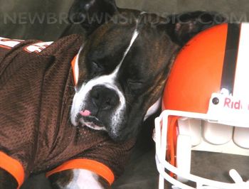 Our Dawg Petey and his 2009 Season Photos
