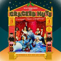 Cracked Nuts: Camper Than Christmas!