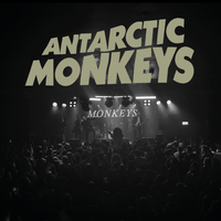 Antarctic Monkeys - 2024