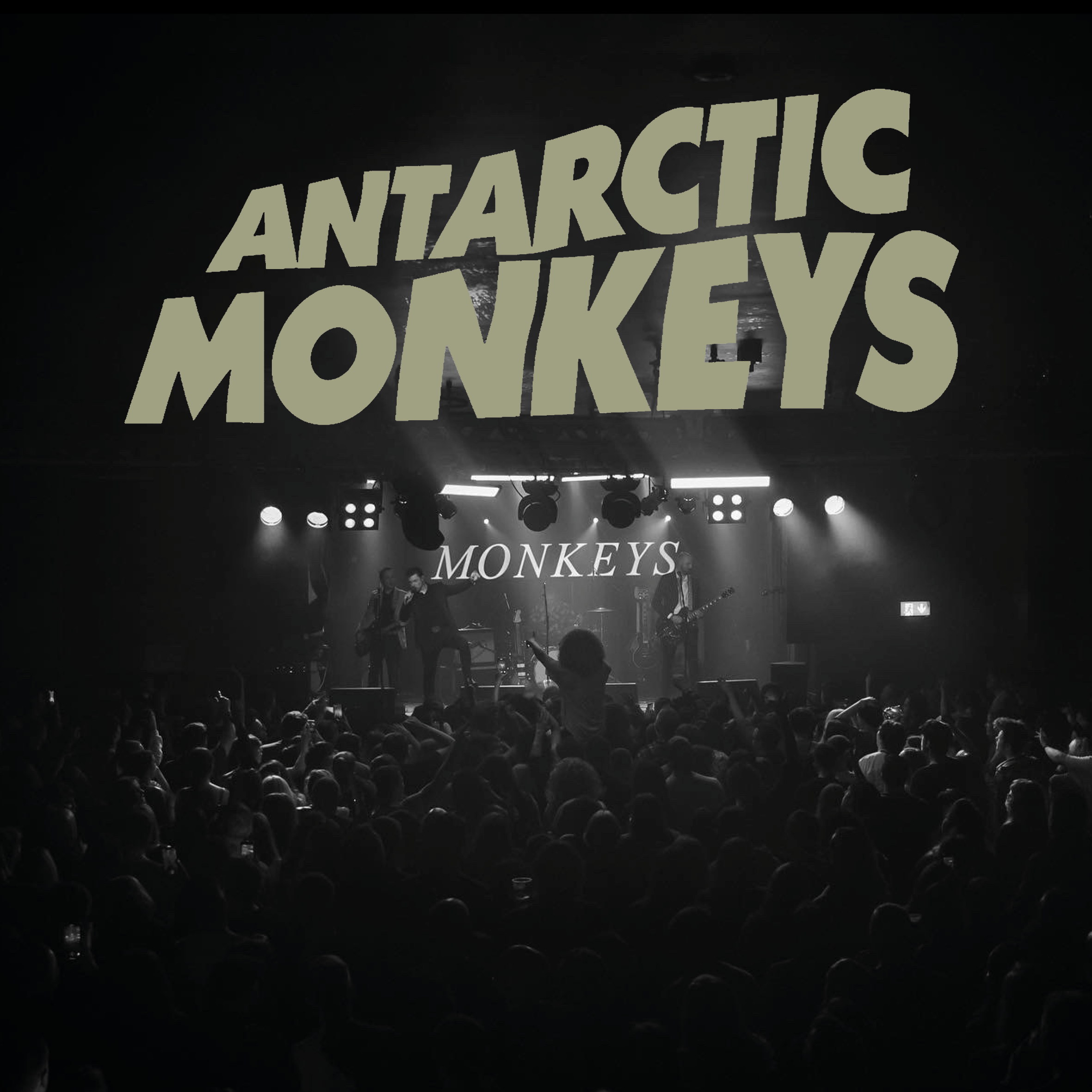 Antarctic Monkeys 2024 The Old Woollen Sunny Bank Mills Oct 19   Meta EyJzcmNCdWNrZXQiOiJiemdsZmlsZXMifQ   