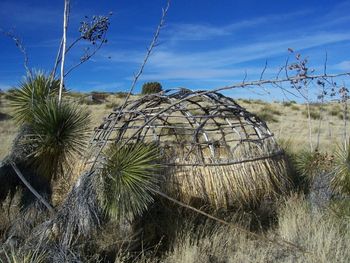 the new wigwam/wickiup outside of Silver City
