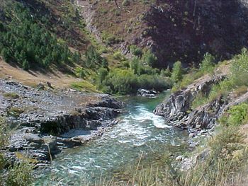 More of the South fork of the Payette
