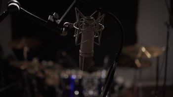 The Infamous Studio mic
