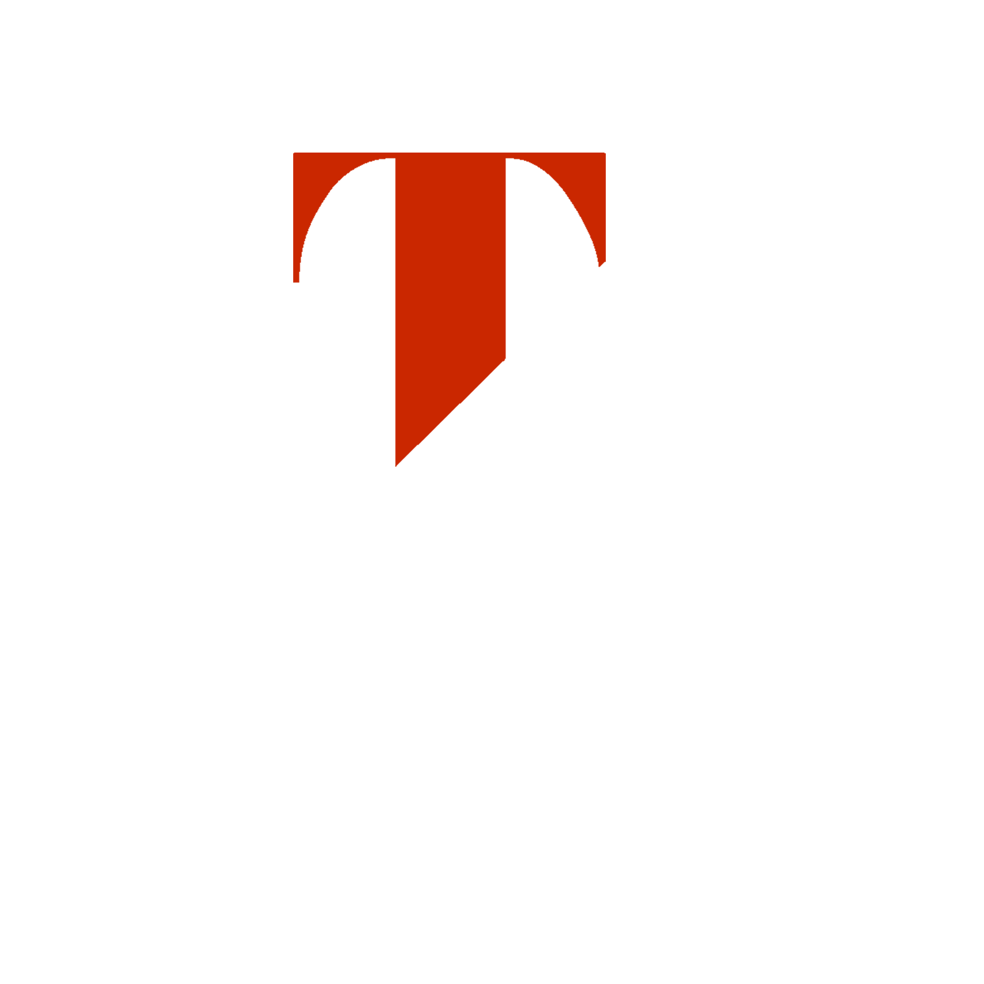 TONY VEGA