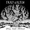 Small Town America CD 