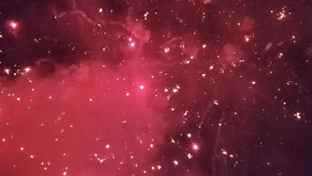 Falling Red Sparks From Firework
