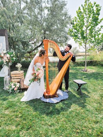 Country weddings & events
