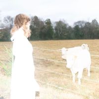 Clean by Willa Mae