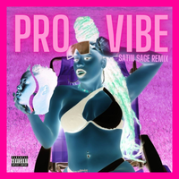 Pro Vibe (Satin Sage Remix) by ReeCee Raps
