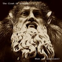 What Use Intellect? by The Cloak Of Starsky