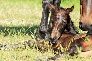 Minutes old - November 24
