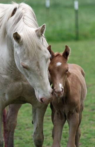 12/11/10. Hours old.
