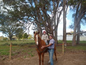 MCM Kerrigan 2010 Morgan gelding (Red Bluff Mesmeric X Mt Tawonga Keep)Kerrigan has settled in well in his new home in Gippsland. Vic.
