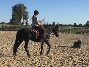 MCM Jindabyne (2012) (Lady Coobydale) Moriesian filly
