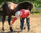 2010 - MCM Mystique Black Moriesian filly by Eitsje.
