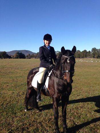 MCM Ronan 2010 Moriesian gelding (Eitsje X MCM Roxanne) "Ronan is even better than I thought he'd be! He's settled in very well and he's quickly become the favourite at the agistment center :). Thanks again for everything, I'm so pleased with Ronan and I'll keep you updated on his progress". Michelle - Feb 2012. Ronan lives in Canberra.
