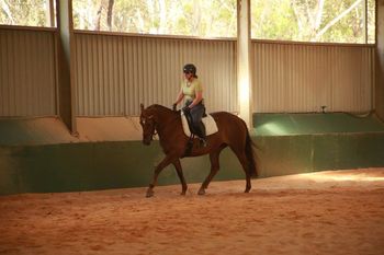 MCM Xarika (2010) Chestnut Moriesian filly out of The Carrock Xyona. more........
