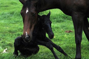 10/10/13  --  Minutes old
