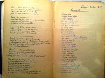 Grandma Hana's poem written in Terezin in May, 1943. "We are chasing time...turning the wheel of history; the wounded ship moves through the fog....
