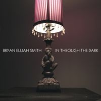 IN THROUGH THE DARK by Bryan Elijah Smith