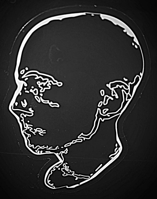 Transparent Skull Sticker