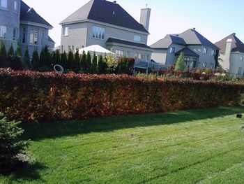 Our professional mowing team leaves perfect straight lines for you to admire.
