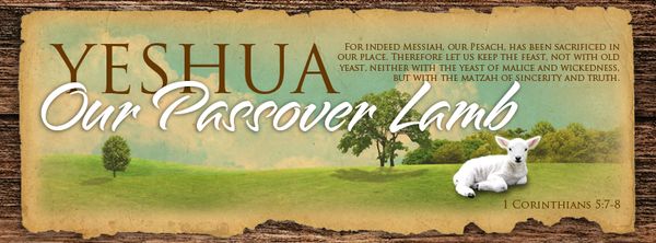 Yeshua the Passover Lamb!
The word Passover comes from the Hebrew “Pesach,” which means “to pass over.” Interestingly, the Aramaic word for lamb is “talya,” which can mean either lamb or servant. The passage in Isaiah 53, referred to as “The Suffering Servant,” describes Yeshua as a Lamb led to the slaughter, and He is referred to as “the Lamb” multiple times in the New Testament. 