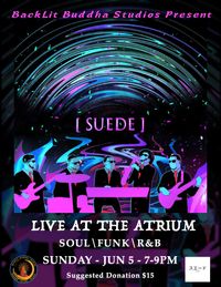 SUEDE Live At The Atrium