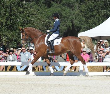 Dressage demo at Oak Lake Farm
