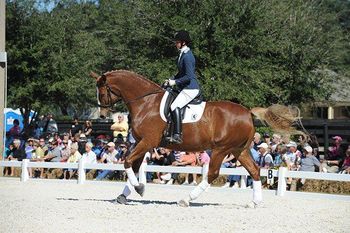 Dressage demo on Ukon
