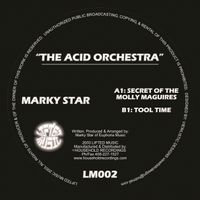 "The Acid Orchestra" e.p.