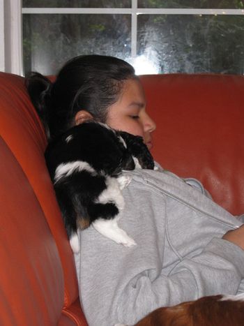 My breeder Jazmine needed a snuggle
