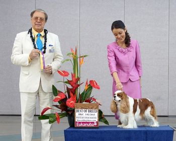 Best of Breed under Judge Enrique Jorge Filippini
